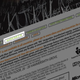 Illustration for article titled No, Resident Evil 5 Does Not Support 16-Player System Link